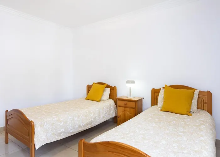 Live Cristianos Playeros Close To The Arona (Tenerife)