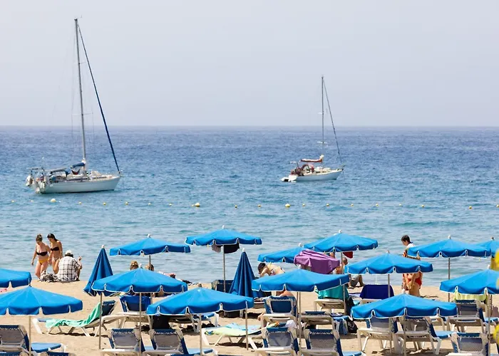 Live Cristianos Playeros Close To The Apartment Arona (Tenerife)